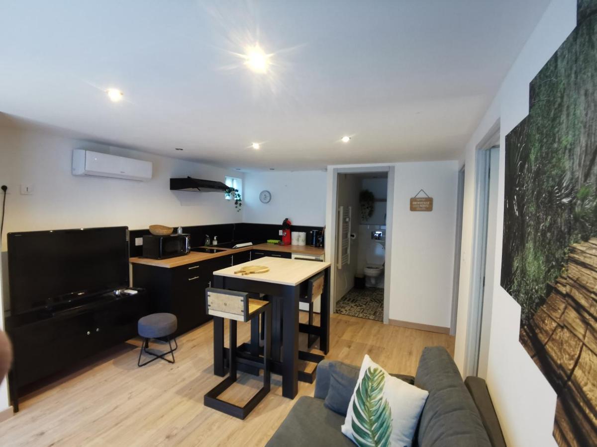 Gite 2 Chambres Avec Piscine Sernhac Zewnętrze zdjęcie